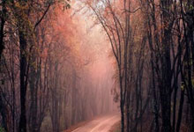 北京“双奥”文化展亮相雅典人民日报海外.