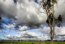 [国内球]村超国际友谊赛激战正酣.